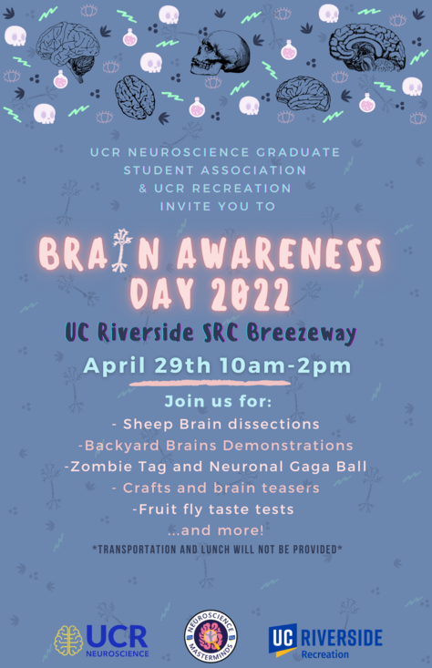 Brain Awareness Day 2022